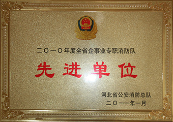 2010年河北省先进单位